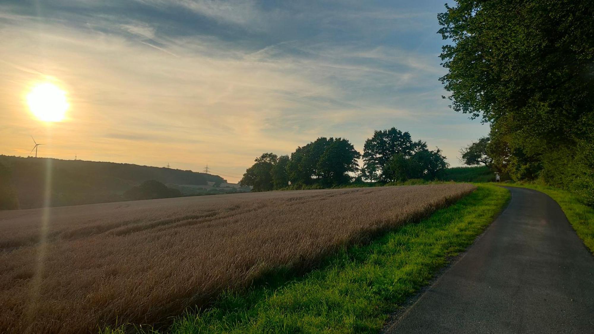Jan'S Homestay! #Kassel-Лофельден Экстерьер фото